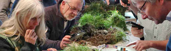 Teilnehmer eines Bodenkurses untersuchen verschiedene Böden